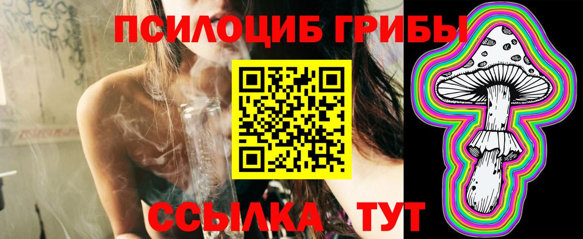 Псилоцибиновые грибы мицелий  Вход с VPN  Тавда  Псилоцибиновые грибы Psilocybe 
